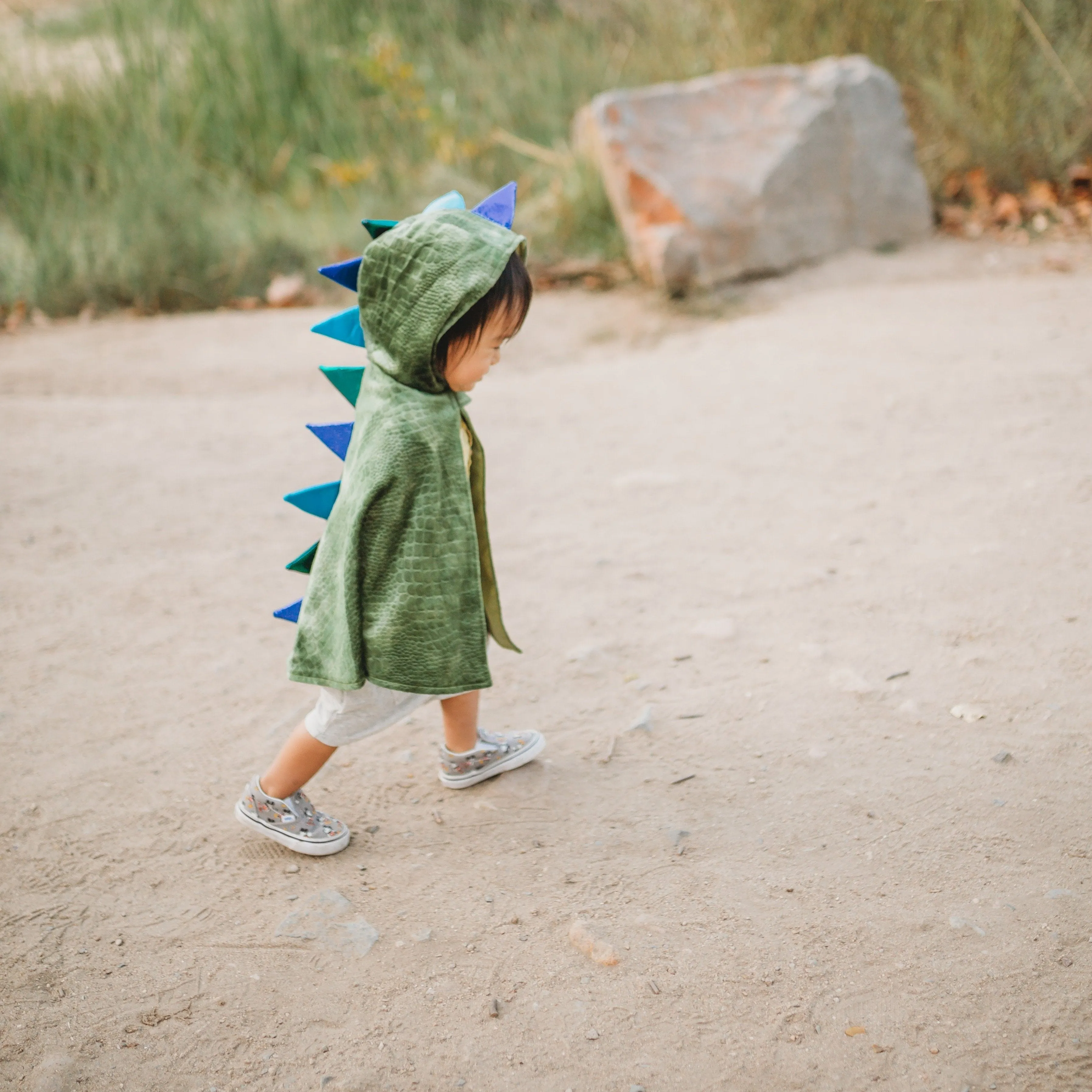 Baby Dragon Cape