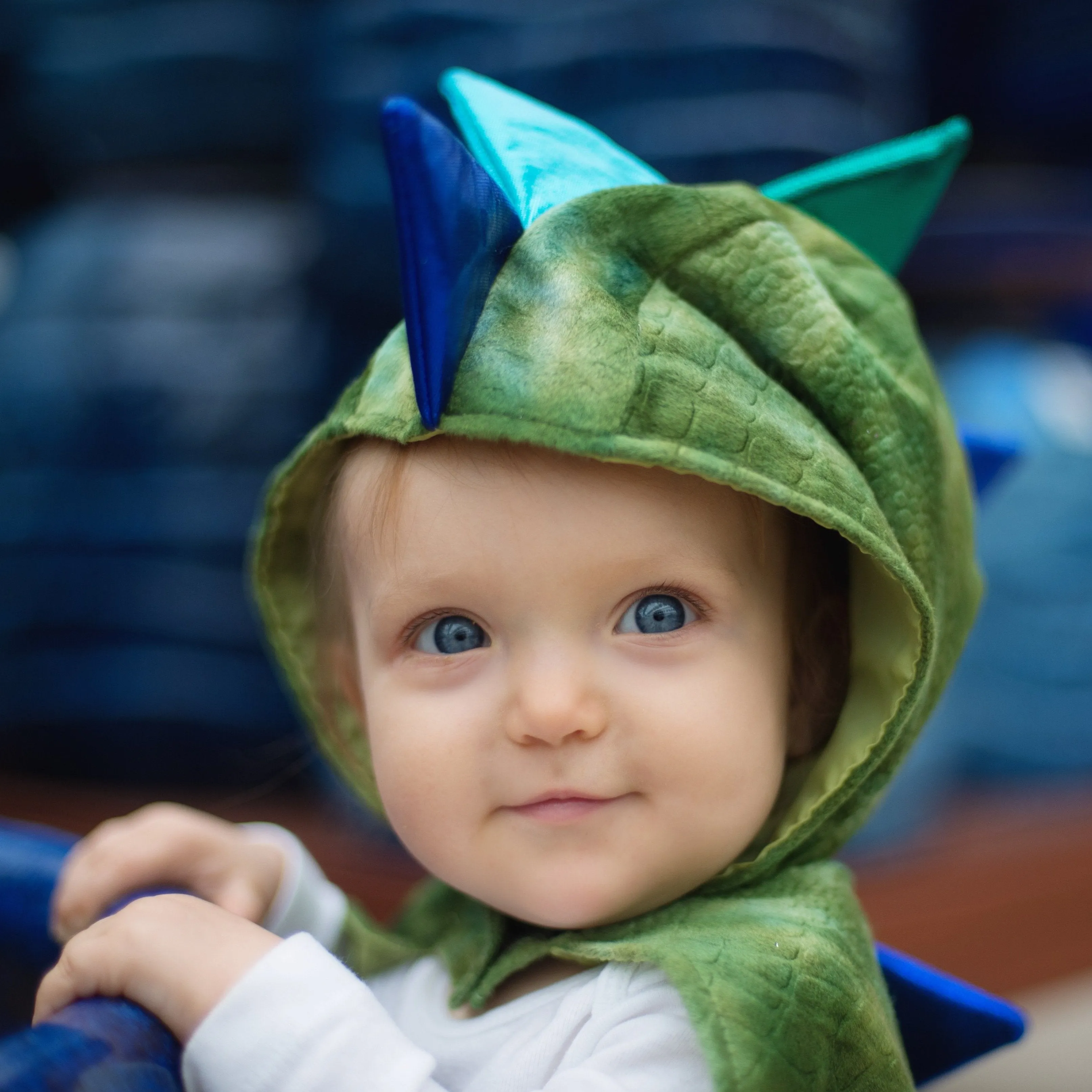 Baby Dragon Cape