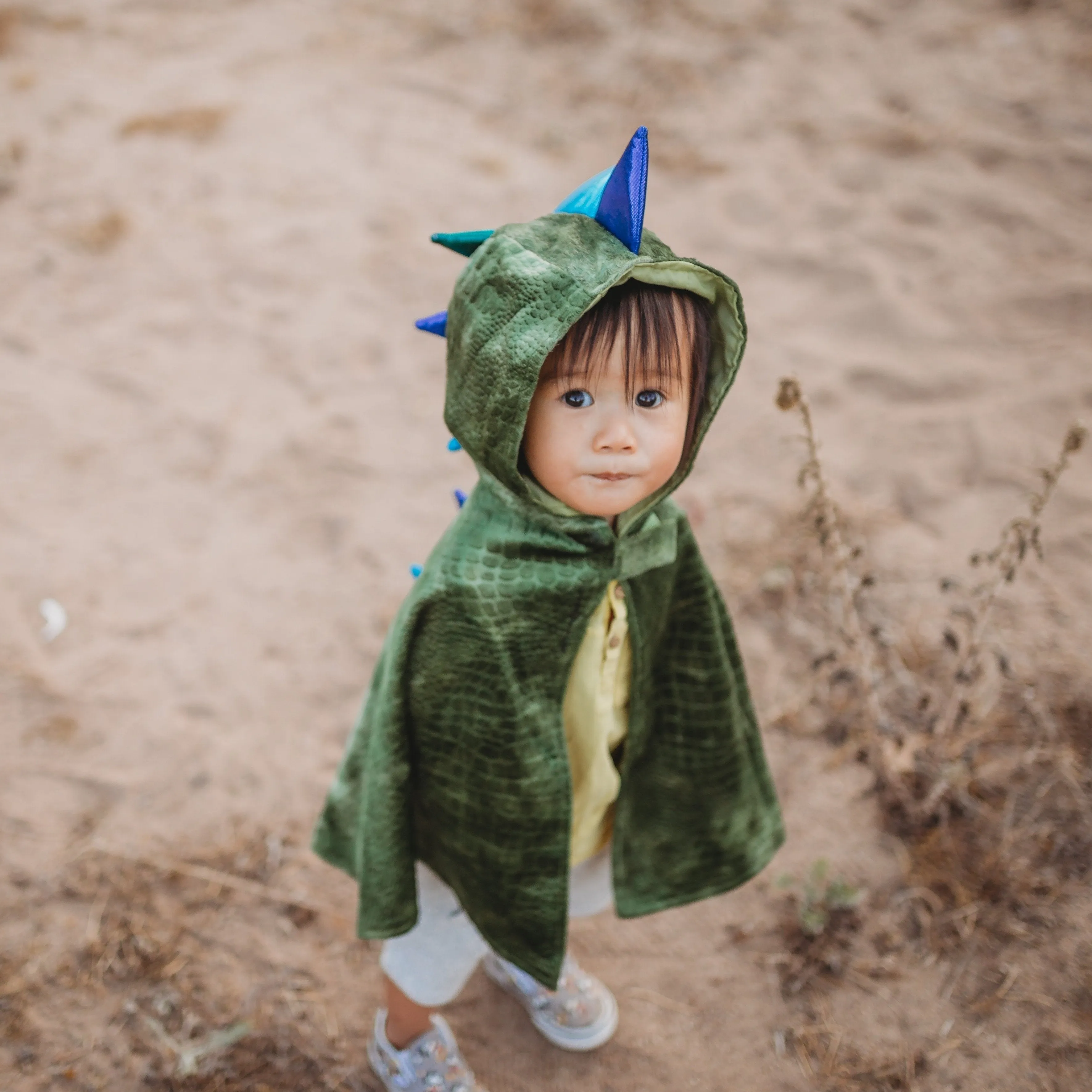 Baby Dragon Cape