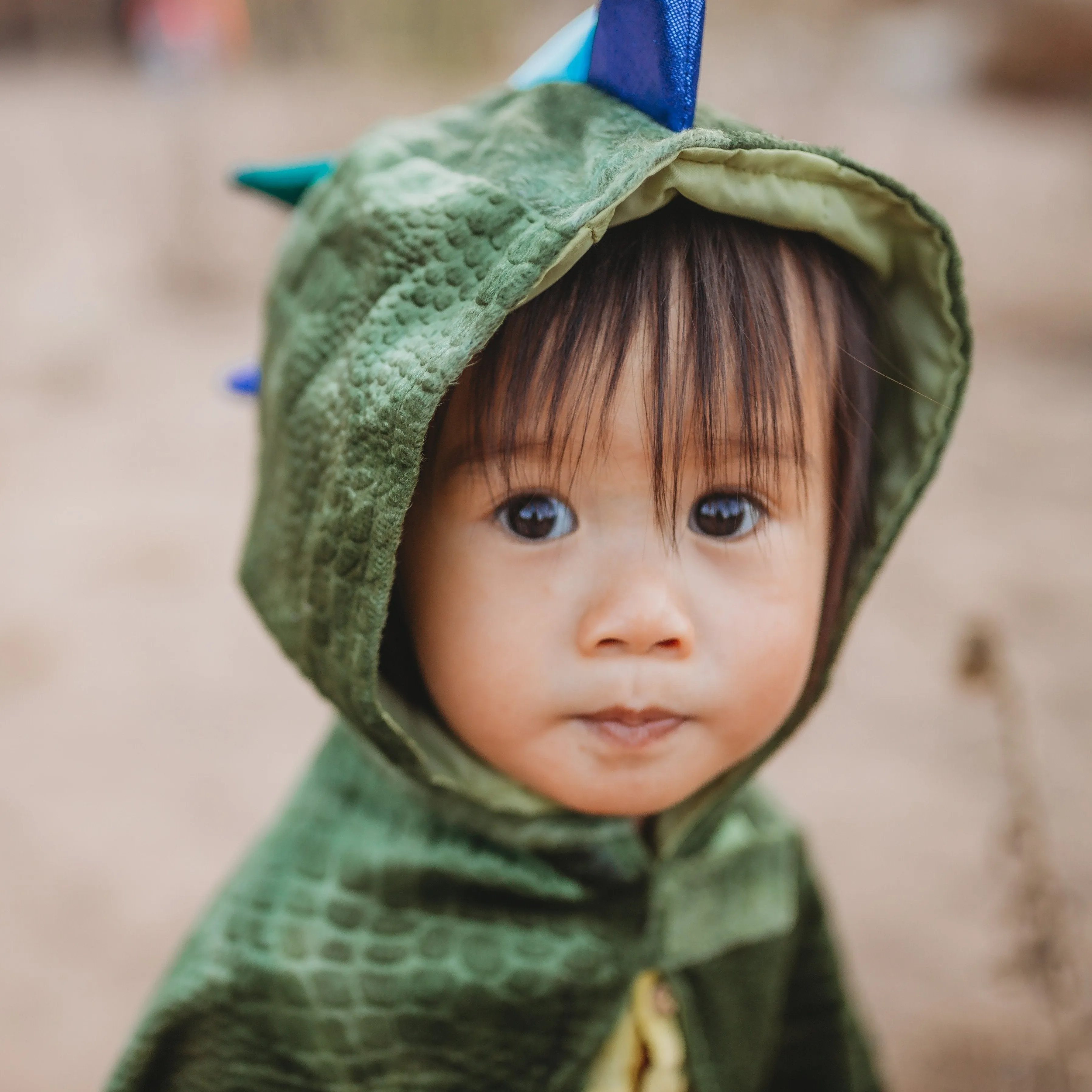 Baby Dragon Cape
