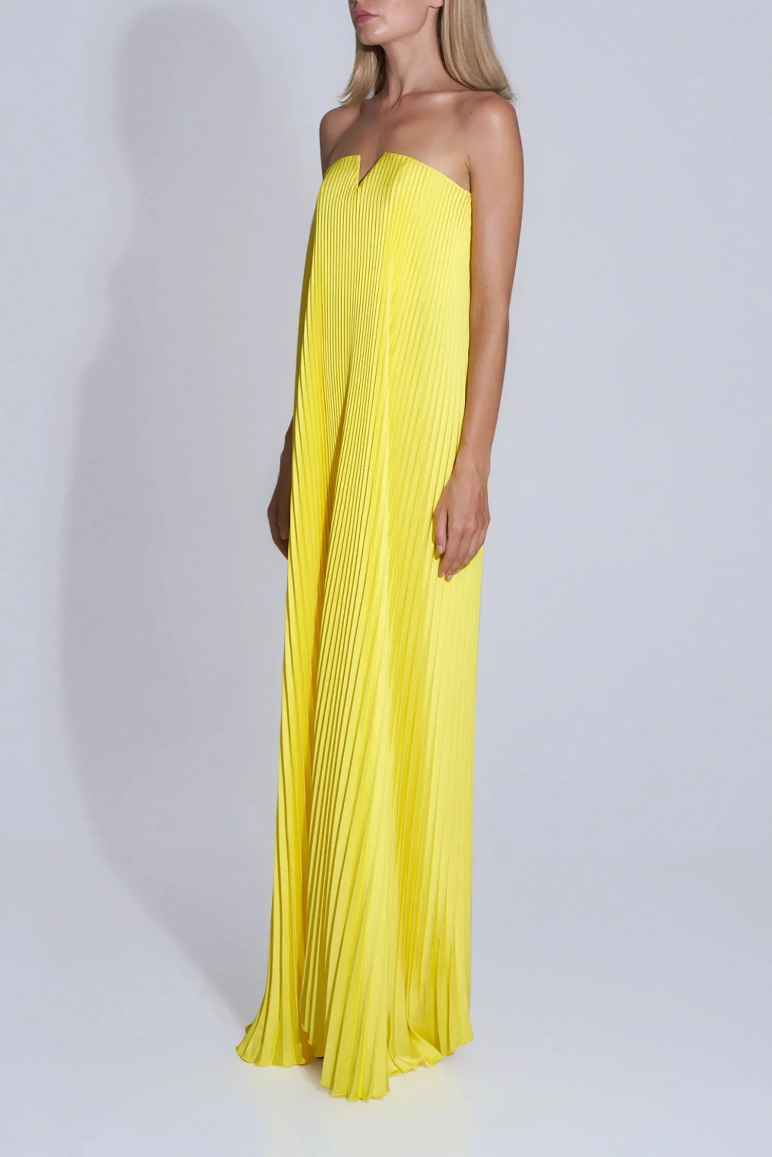Black Tie Gown