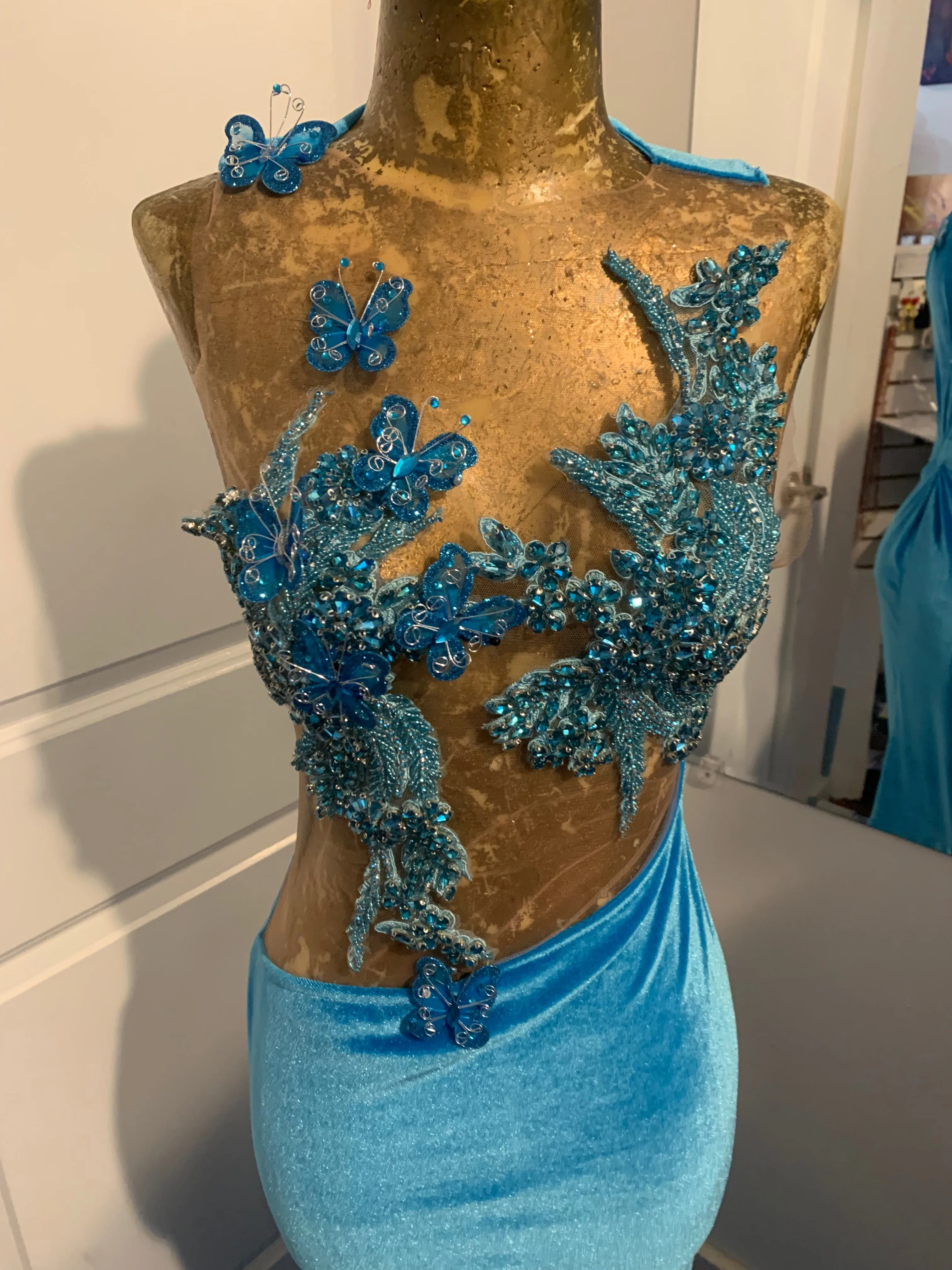Butterfly Blue Gown