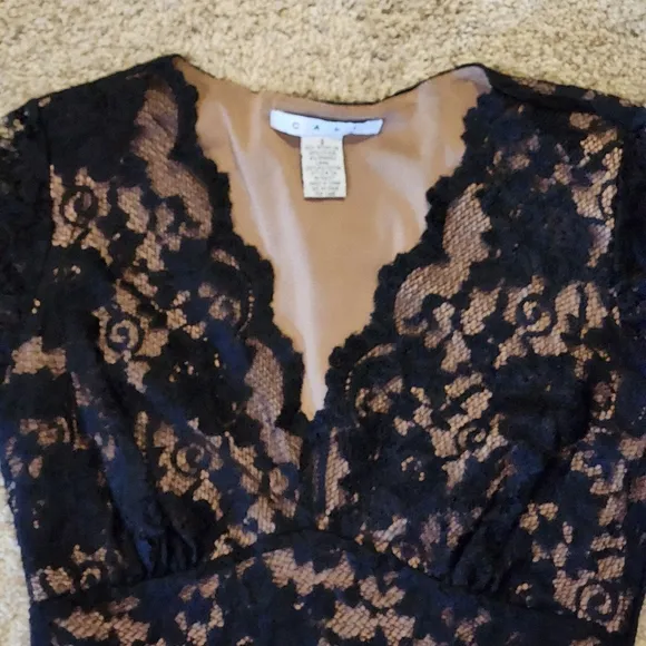 CAbi Lace Illusion Cocktail Dress Size  Small Colors Black and Nude