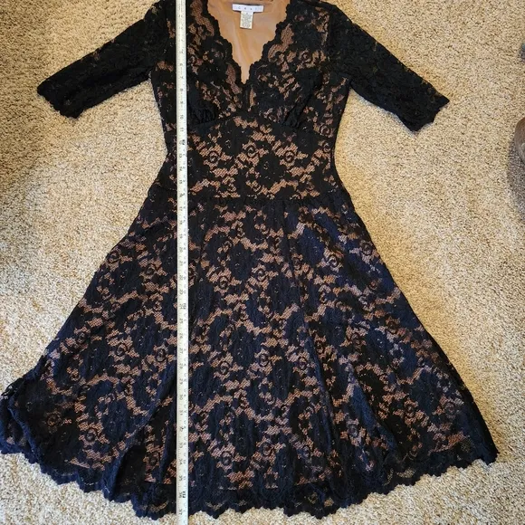 CAbi Lace Illusion Cocktail Dress Size  Small Colors Black and Nude