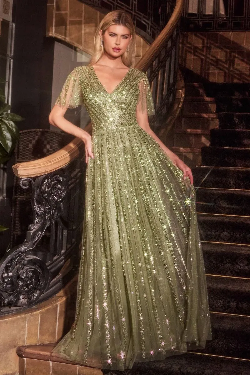 CD CD0241 - Linear Beaded A-Line Gown with V-Neck & Butterfly Sleeves