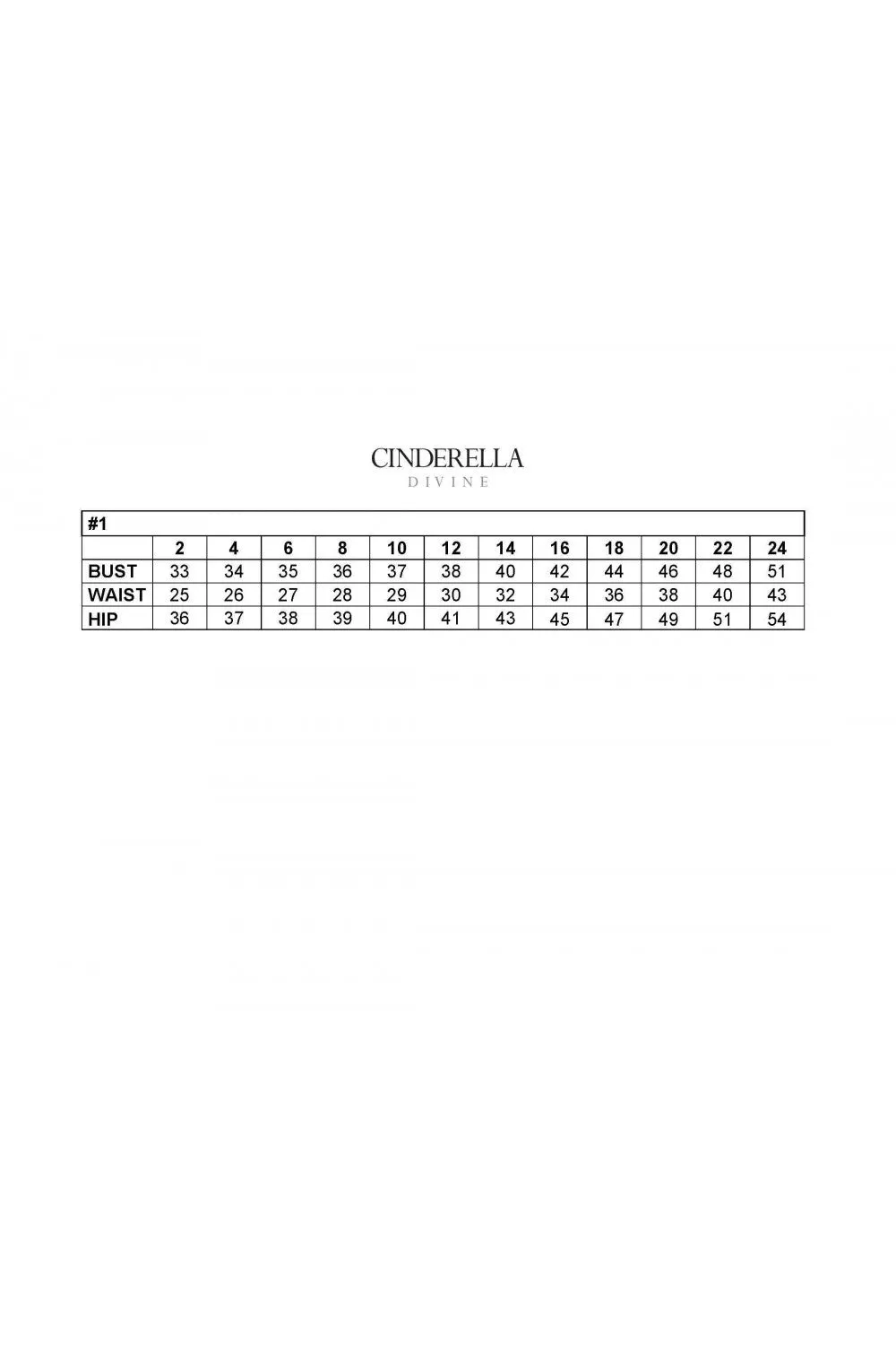 Cinderella Evening Dress CD943C