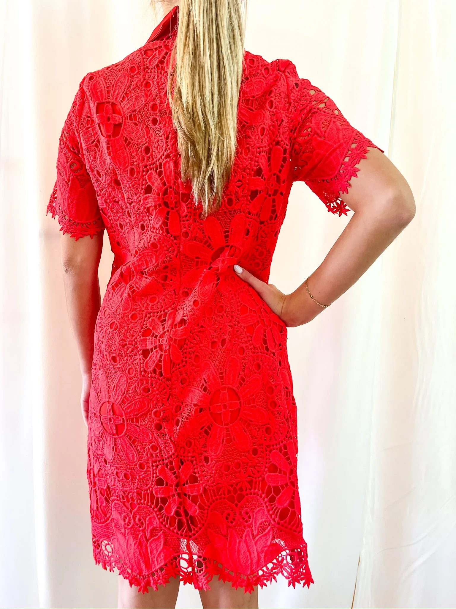 Classically Stated Chemise Dress - Red Lace