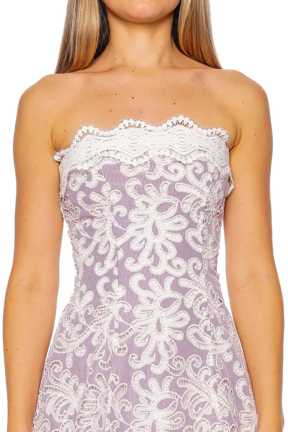 Colline Strapless Embroidered Lace Mini Dress