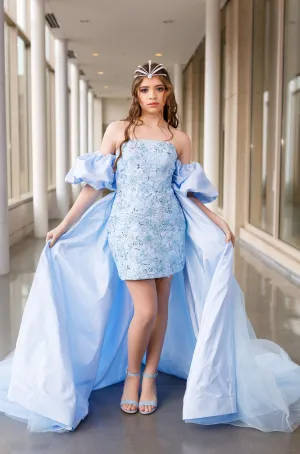 Custom Gown "Rosalba"