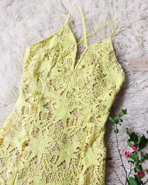 Daffodil Lace Dress