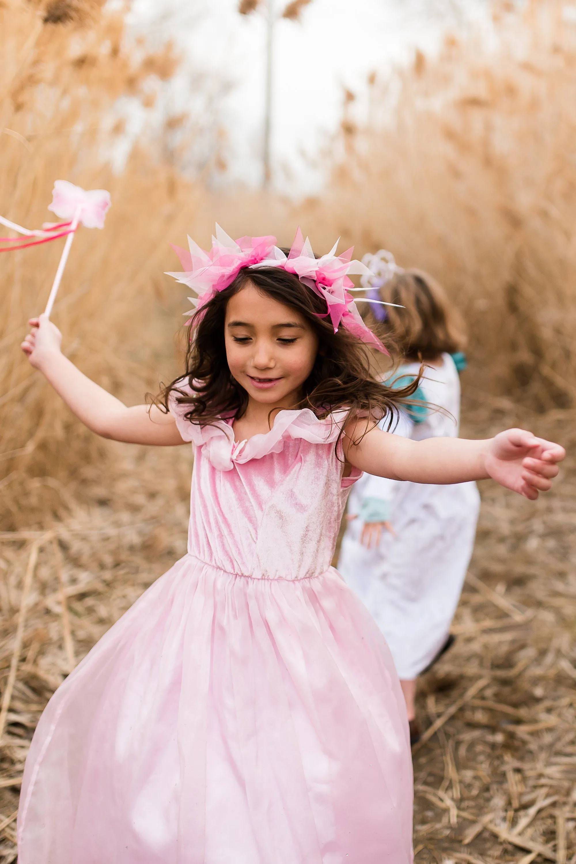 Deluxe Pink Butterfly Princess