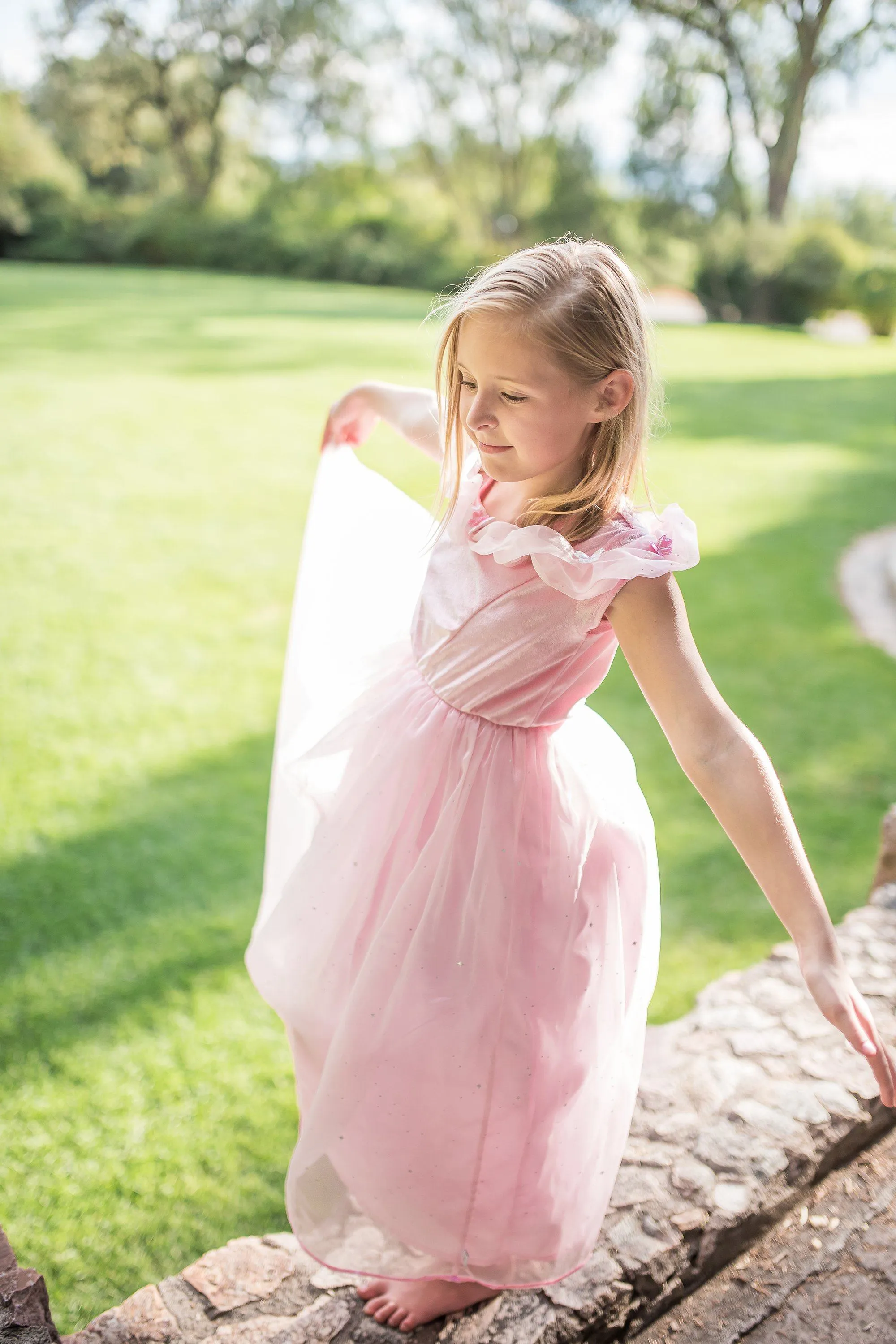 Deluxe Pink Butterfly Princess