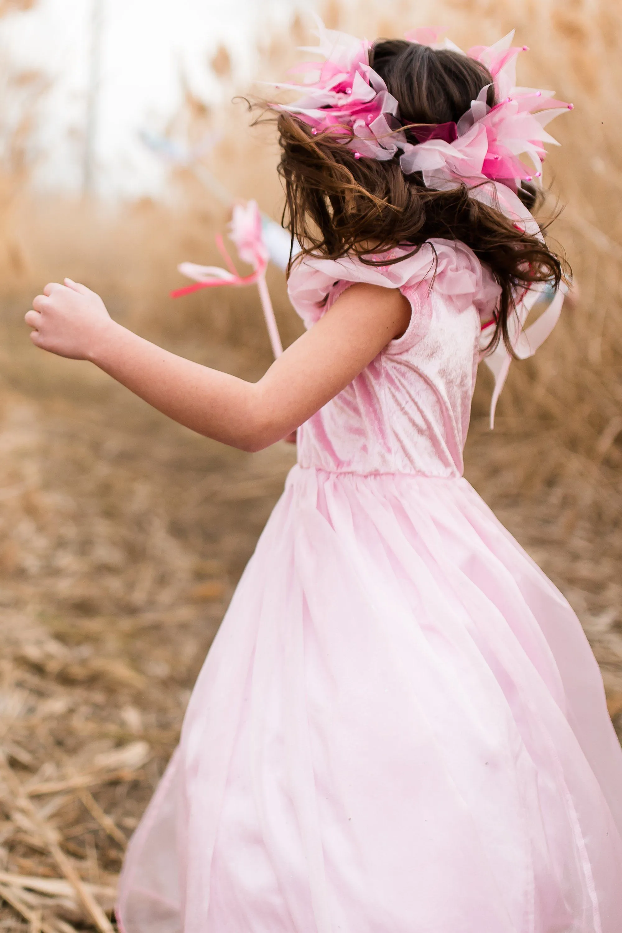Deluxe Pink Butterfly Princess