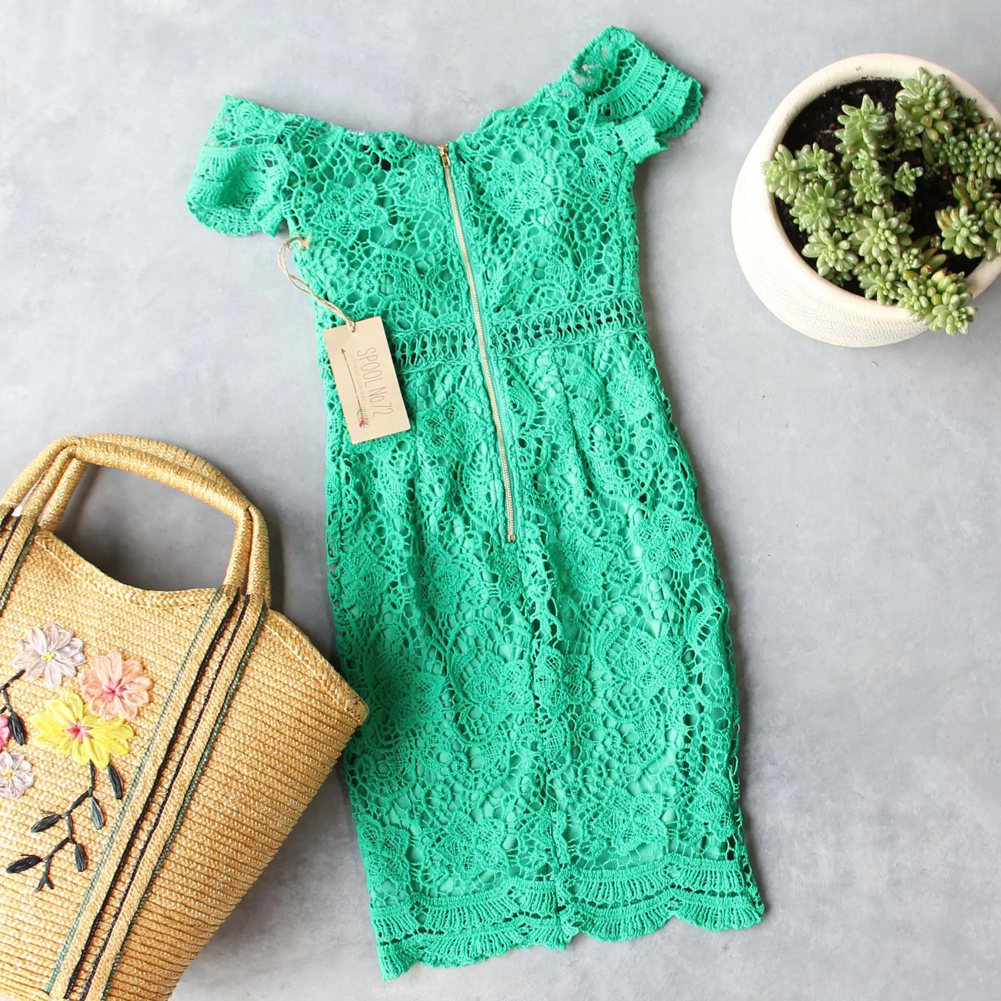 Fern Lace Dress