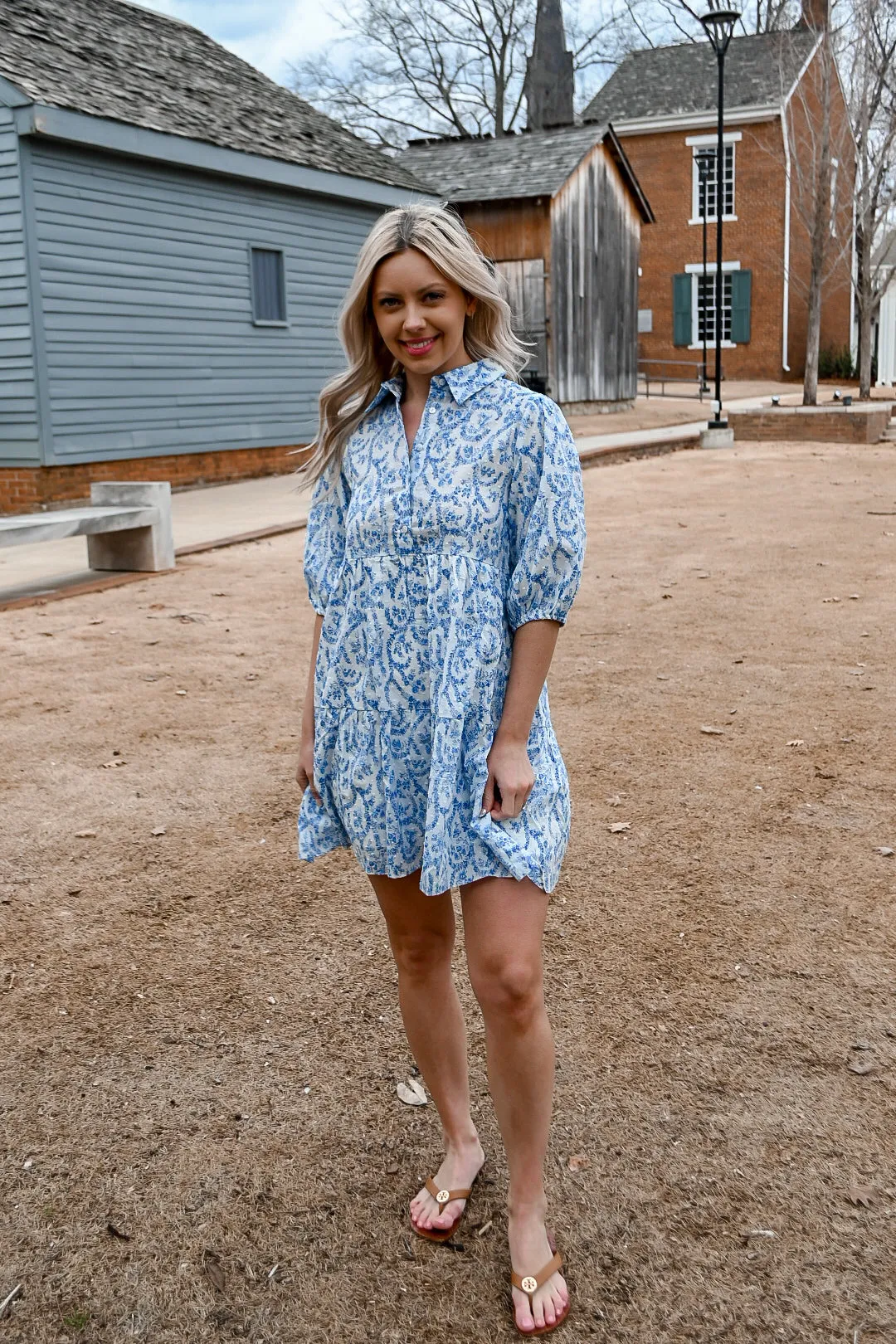French Floral Dress- Blue/White