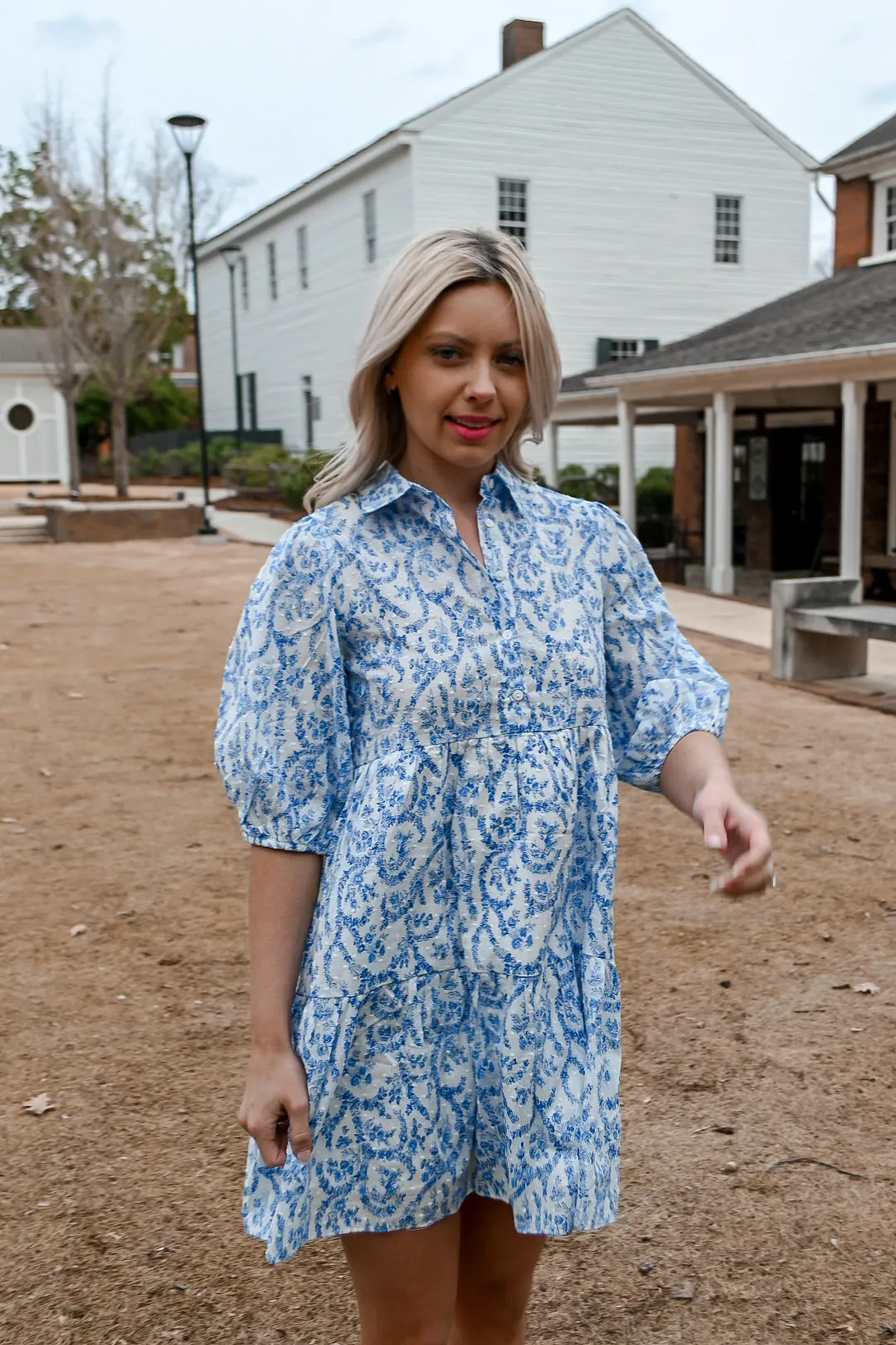 French Floral Dress- Blue/White