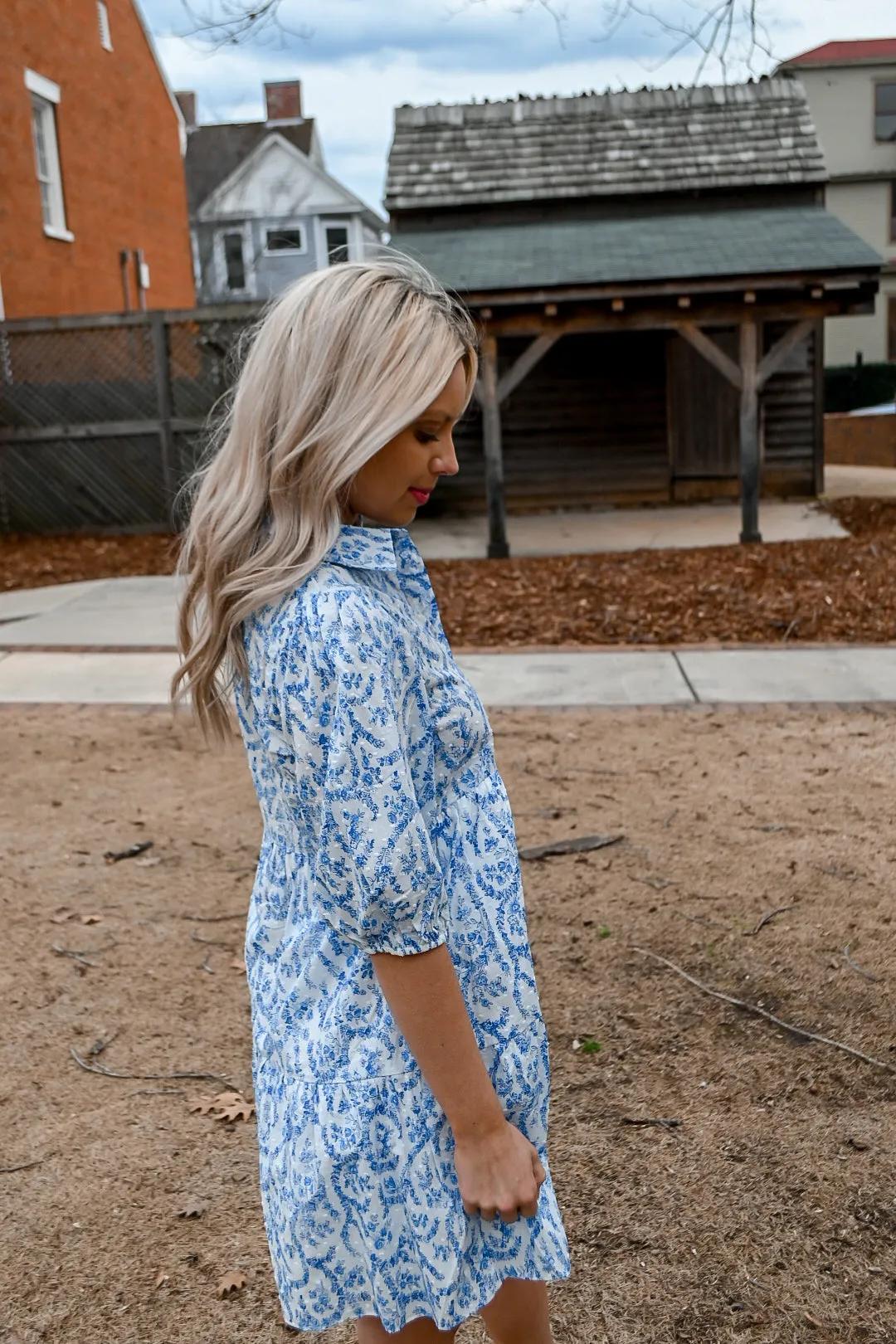 French Floral Dress- Blue/White