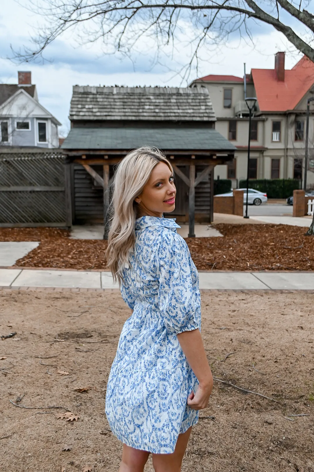 French Floral Dress- Blue/White