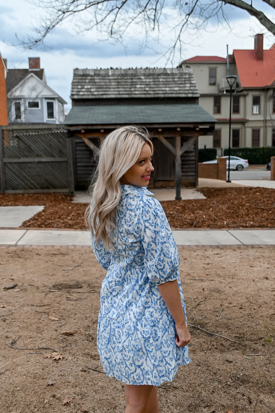 French Floral Dress- Blue/White