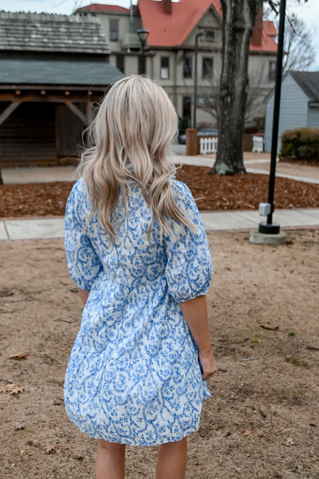 French Floral Dress- Blue/White