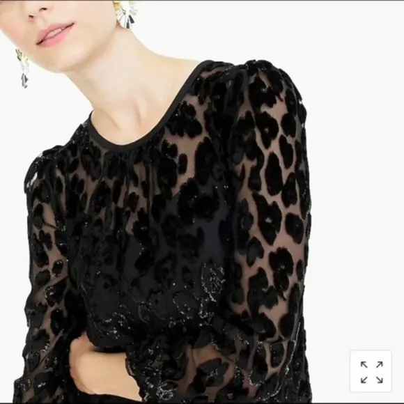J Crew Flutter Hem Drop Waist Leopard Print Shimmer Velvet Burnout Dress Sz 2T