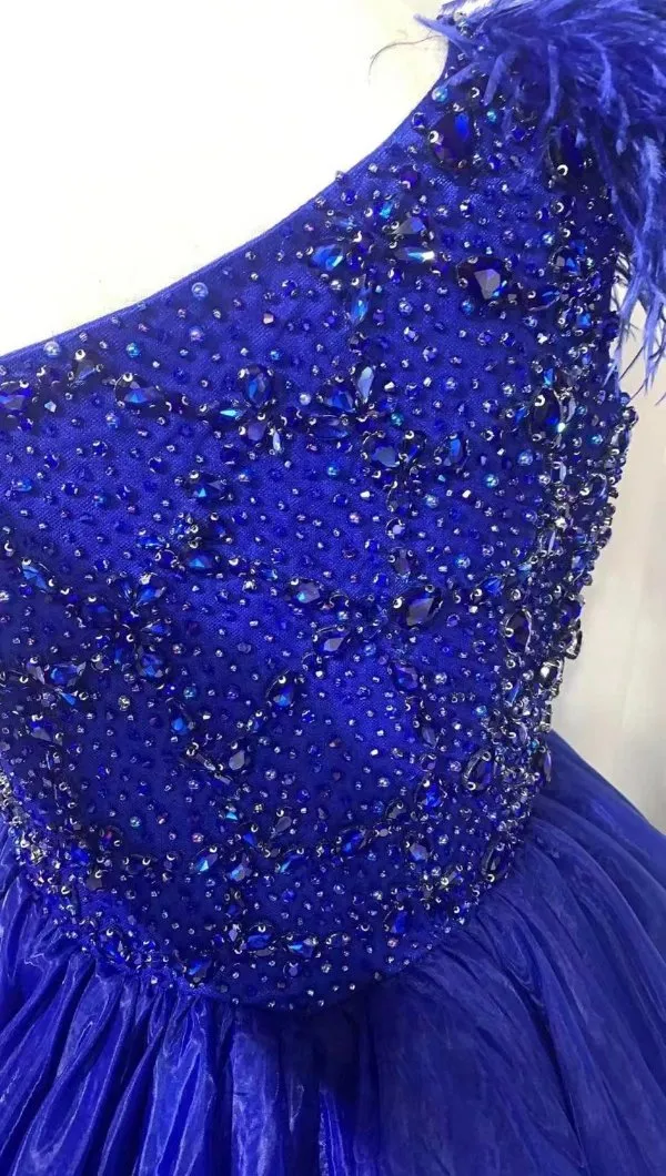Kids Royal Stunning Pageant Gown with Feather