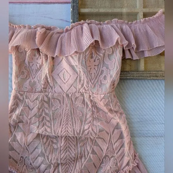 NWT Hello Molly Blush Pink Something To Be Said Embroidered  Ruffle Mini Dress S