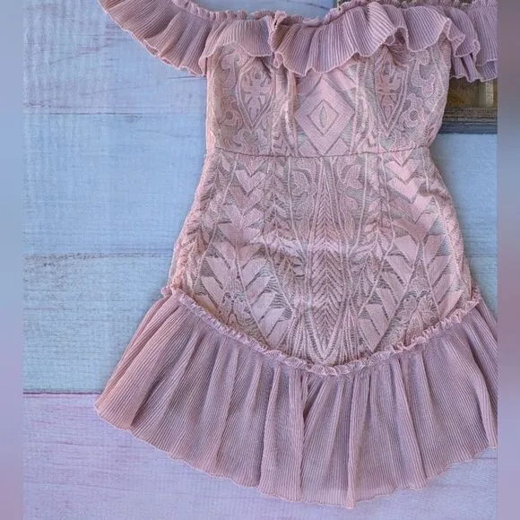 NWT Hello Molly Blush Pink Something To Be Said Embroidered  Ruffle Mini Dress S