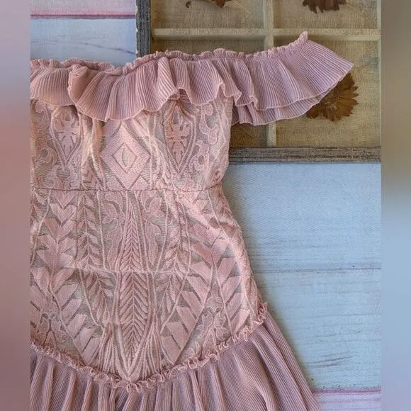 NWT Hello Molly Blush Pink Something To Be Said Embroidered  Ruffle Mini Dress S