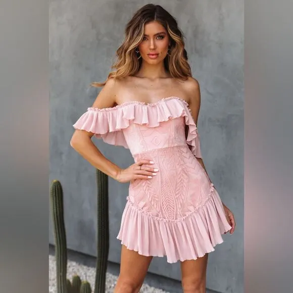 NWT Hello Molly Blush Pink Something To Be Said Embroidered  Ruffle Mini Dress S
