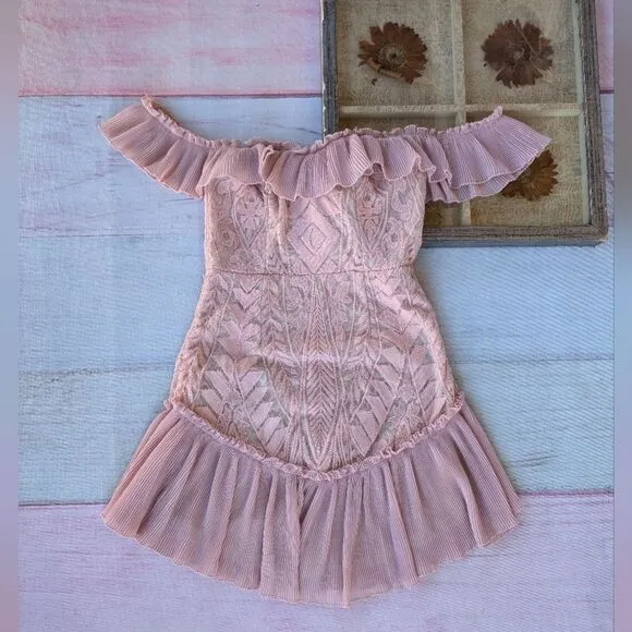 NWT Hello Molly Blush Pink Something To Be Said Embroidered  Ruffle Mini Dress S