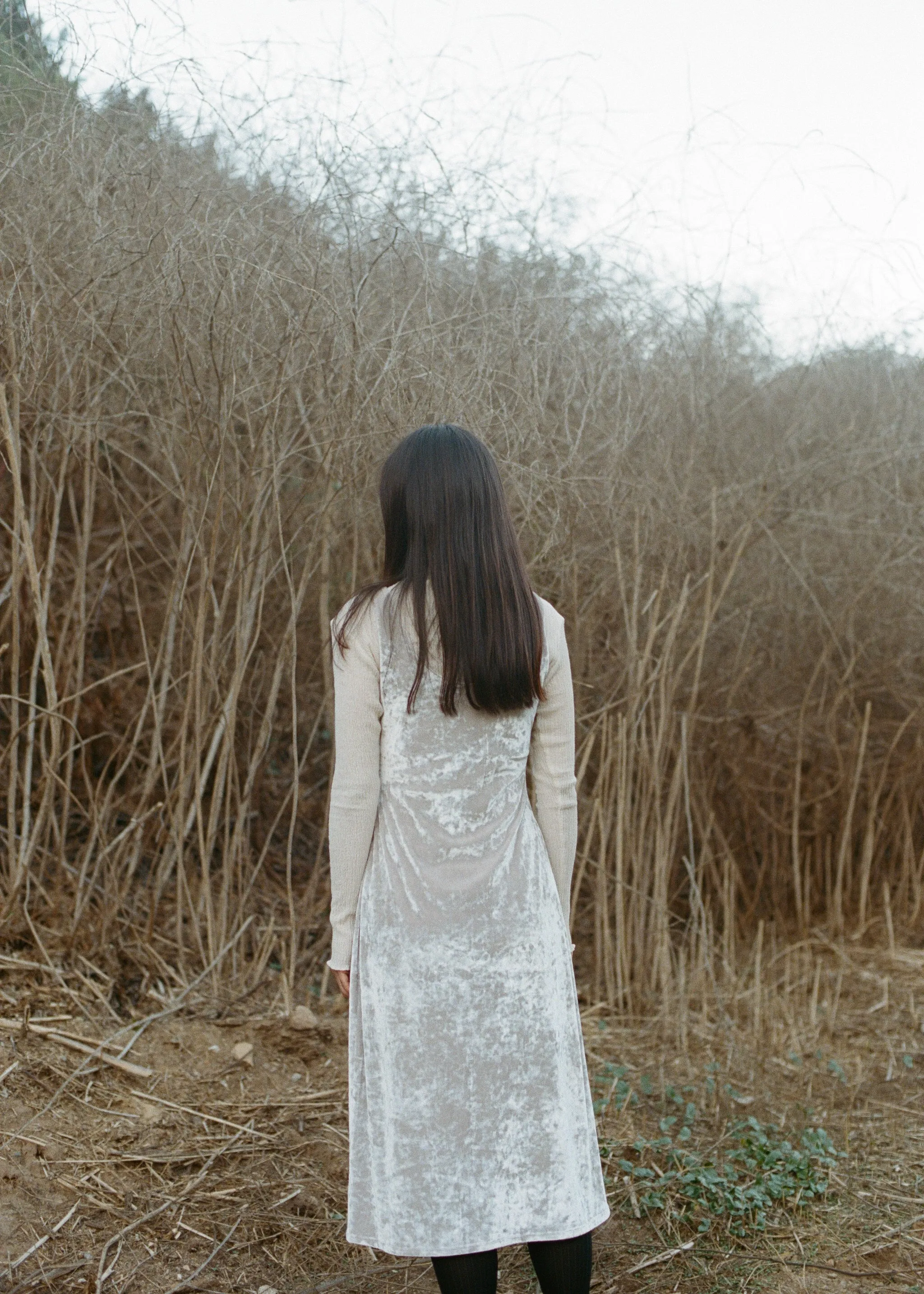 Pearl velvet dress