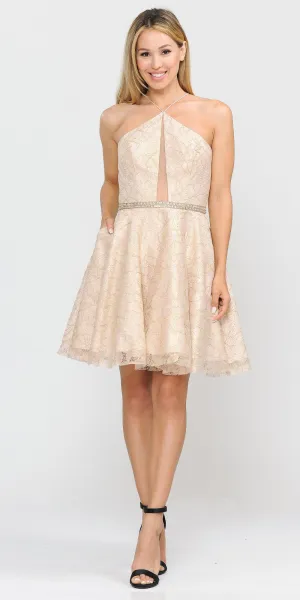 Poly Usa 8506 Short Spaghetti Halter A-Line Lace Dress Cut-Out Back