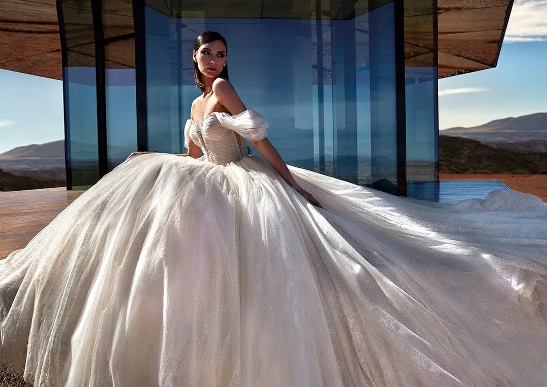 Pronovias Privee: Stardust