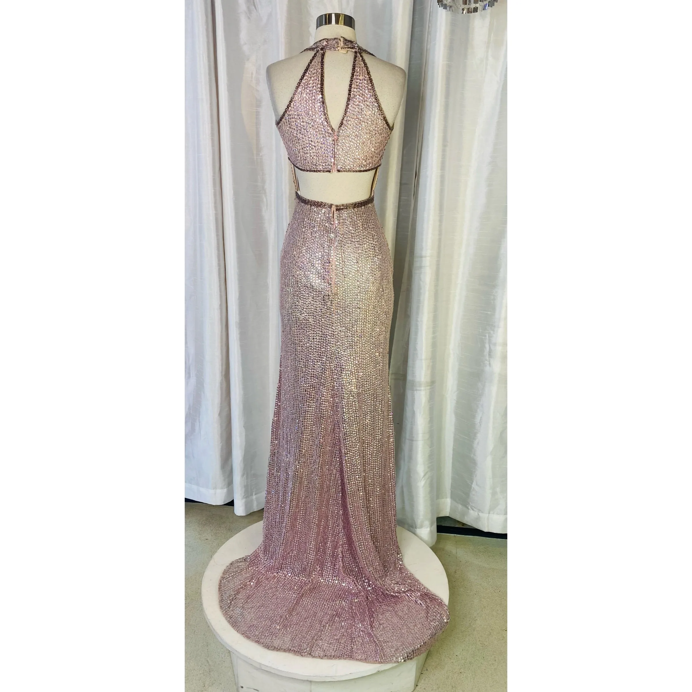 SHERRI HILL Long Gown Blush Size 2