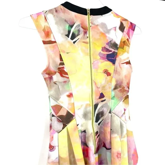 Ted Baker London Jeneyy Floral Watercolor A-Line Dress