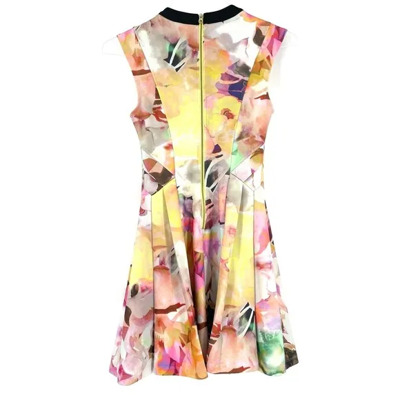 Ted Baker London Jeneyy Floral Watercolor A-Line Dress