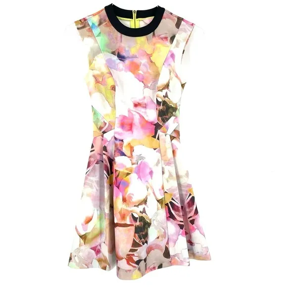 Ted Baker London Jeneyy Floral Watercolor A-Line Dress