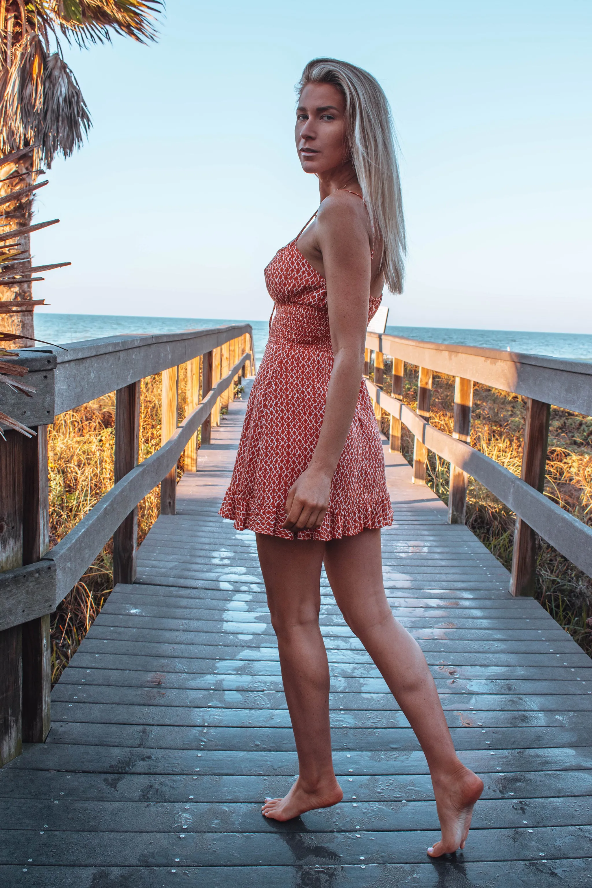 Tela Printed Mini Dress