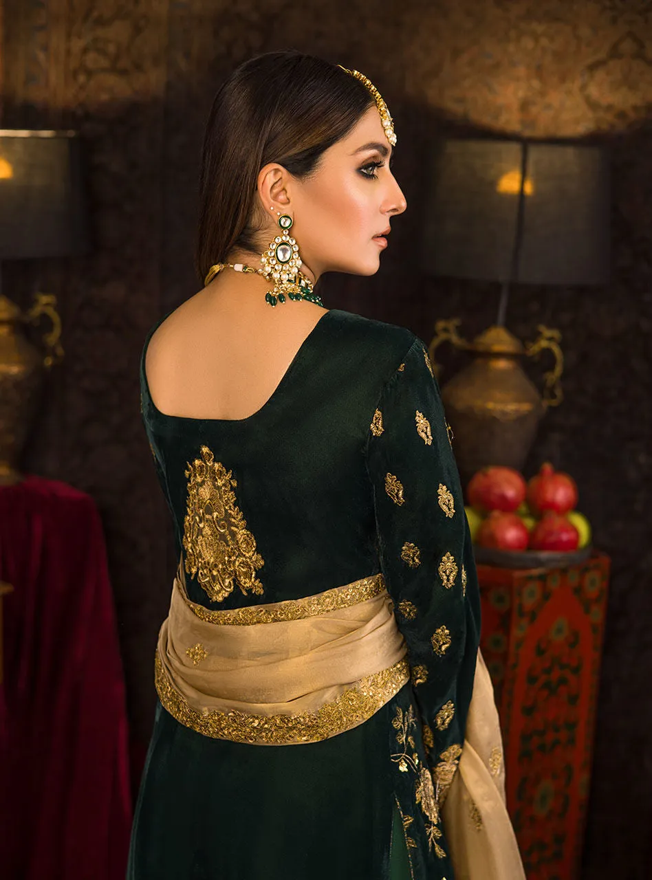 Velvet Dress Salwar Kameez Design for Party Wear #PN568