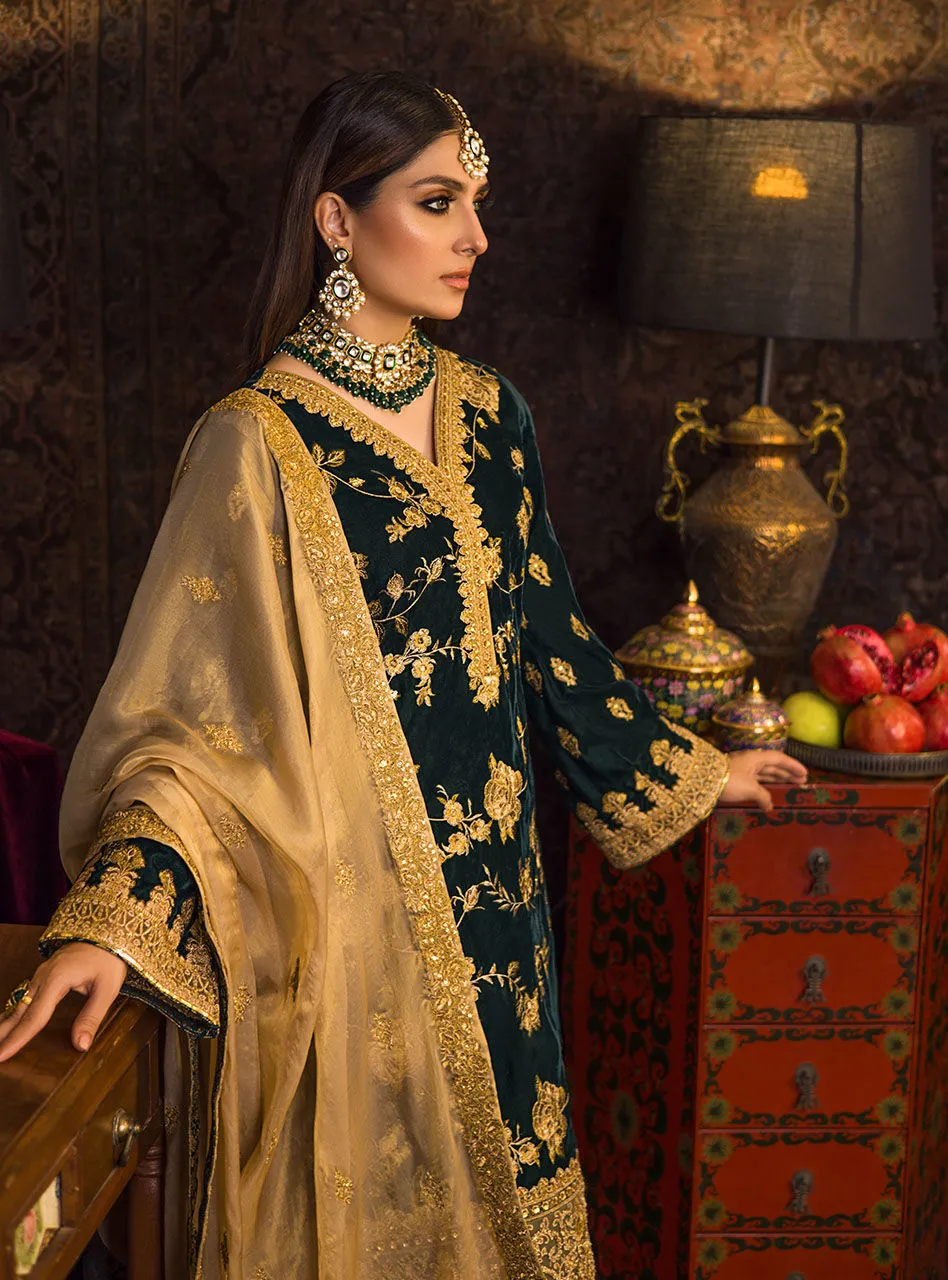 Velvet Dress Salwar Kameez Design for Party Wear #PN568
