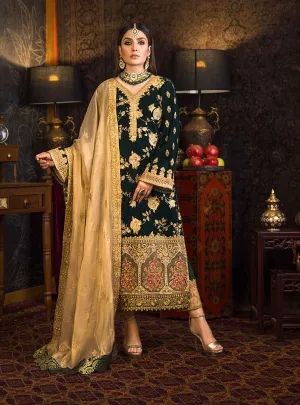 Velvet Dress Salwar Kameez Design for Party Wear #PN568