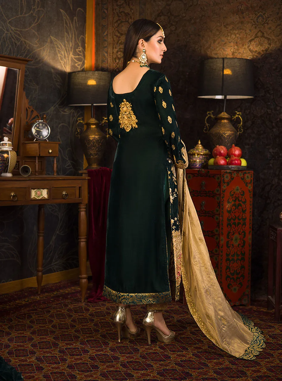 Velvet Dress Salwar Kameez Design for Party Wear #PN568