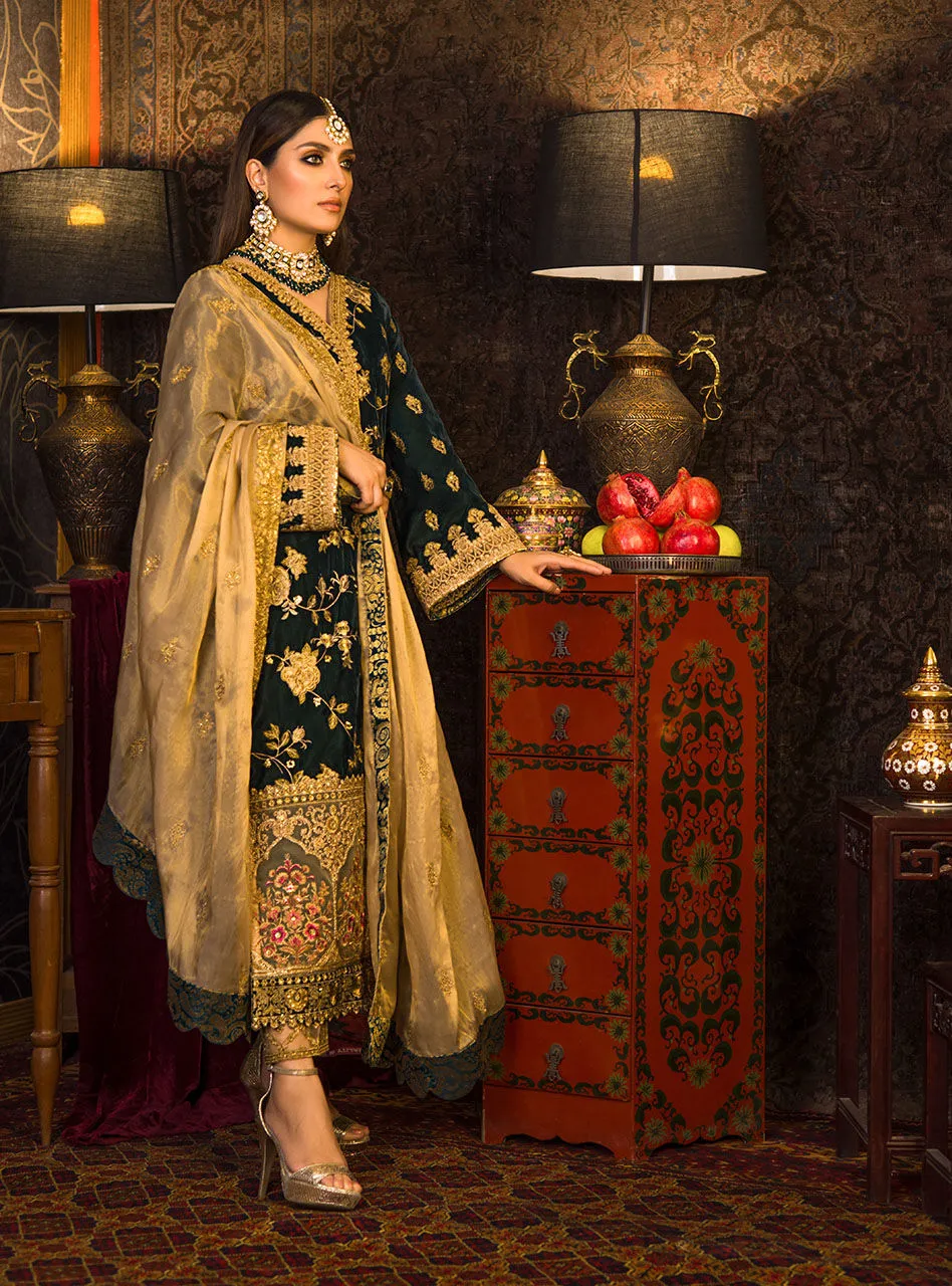 Velvet Dress Salwar Kameez Design for Party Wear #PN568