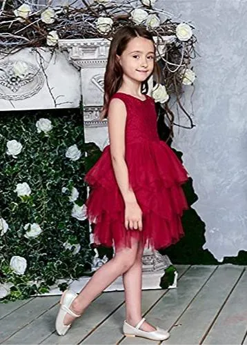Violet Lace Silk Bow Boho Tiered Tulle Girl Dress in Wine Red